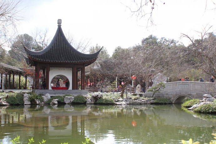 Chinese garden (January 28, 2013)